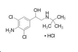 盐酸克伦特罗（瘦肉精）（Clenbuterol）单克隆抗体