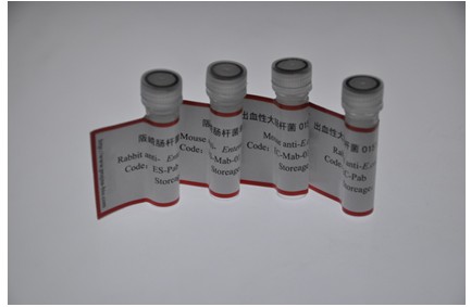 出血性大肠杆菌O157：H7 (E.coli O157:H7)多克隆抗体