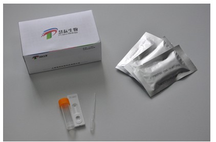 幽门螺旋杆菌(Helicobacter Pylor)