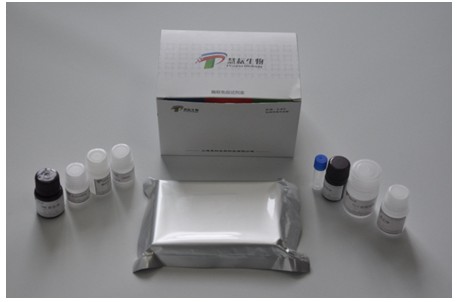 单核细胞增生李斯特菌（Listeria monocytogenes）