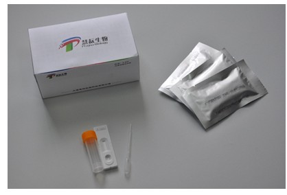 金黄色葡萄球菌（Staphylococcus aureus）